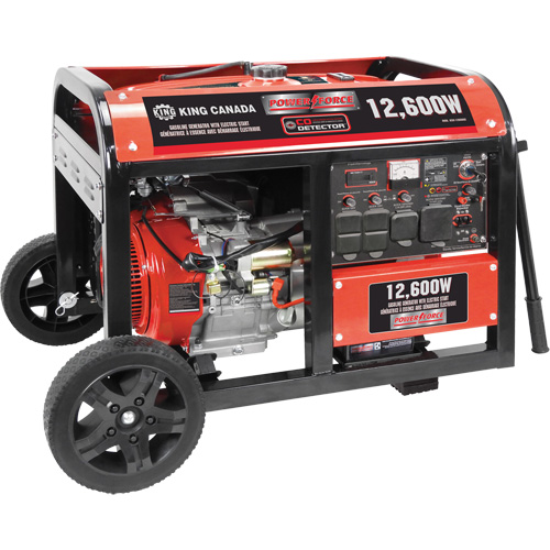 Gasoline Generator with Electric Start, 12600 W Surge, 9000 W Rated, 120 V/240 V, 31 L Tank Auto-Cam