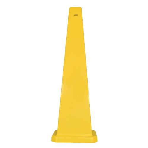 Lamba Traffic Cones Auto-Cam