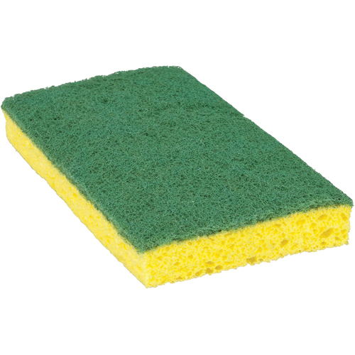 Scotch-Brite Medium Duty Scrub Sponge, Scrubbing, 3-3/5" W x 6-1/10" L Auto-Cam