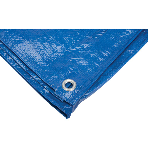 Tarp, Standard Duty, Blue, 7' x 5' x 4 mils Auto-Cam