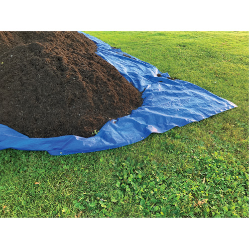 Tarp, Standard Duty, Blue, 7' x 5' x 4 mils Auto-Cam