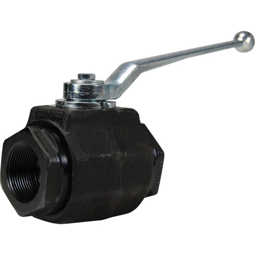 High Pressure Full-Bore Ball Valve, Steel, Manual, FNPT x FNPT Auto-Cam