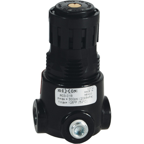 Wilkerson Miniature Regulator R03, 1/4" NPT, 300 psi Max. PSI, Standard Auto-Cam