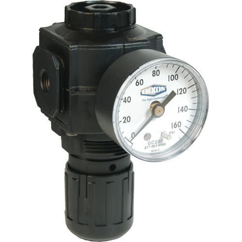 Series 1 Compact Regulator, 1/2" NPT, 150 PSI Max. PSI, Standard Auto-Cam