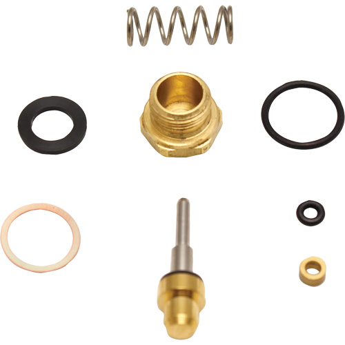 Trousse d'entretien pour blocage en laiton Auto-Cam