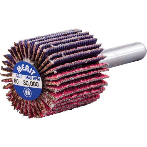 Shank Mounted Mini Flap Wheel, Ceramic Alumina, 60 Grit, 1" x 1" x 1/4" Auto-Cam