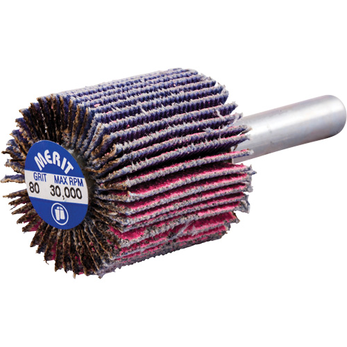 Mini-meule &agrave; lamelles mont&eacute;e sur tige, C&eacute;ramique d'alumine, Grain 80, 1" x 1" x 1/4" Auto-Cam