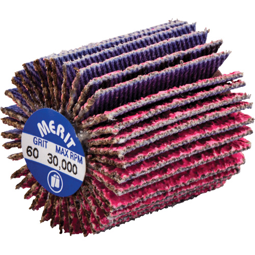 Mini-meule &agrave; lamelles filet&eacute;es, C&eacute;ramique d'alumine, Grain 60, 1" x 1" x 1/4"-20 Auto-Cam