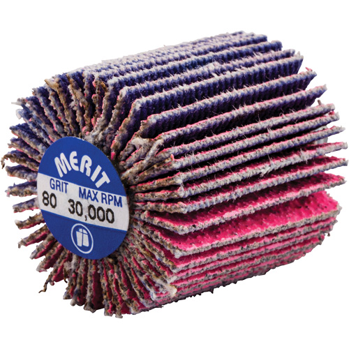 Threaded Mini Flap Wheel, Ceramic Alumina, 80 Grit, 1" x 1" x 1/4"-20 Auto-Cam