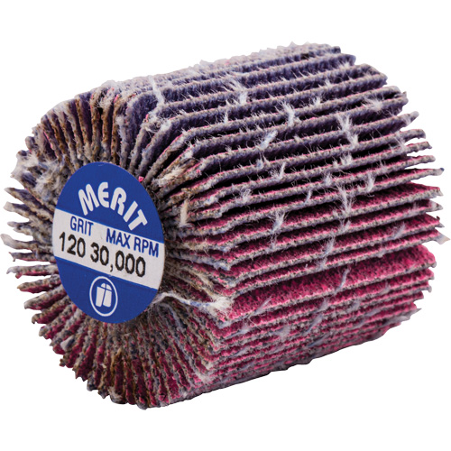 Mini-meule &agrave; lamelles filet&eacute;es, C&eacute;ramique d'alumine, Grain 120, 1" x 1" x 1/4"-20 Auto-Cam