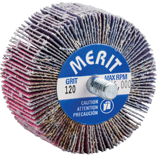 Threaded Mini Flap Wheel, Ceramic Alumina, 120 Grit, 2" x 1" x 1/4"-20 Auto-Cam