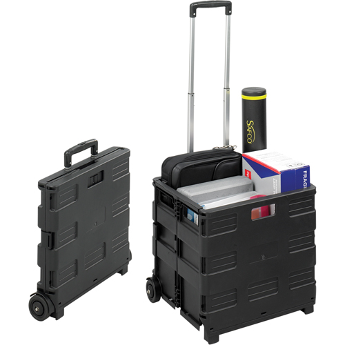 Stow-Away&reg; Crates Auto-Cam