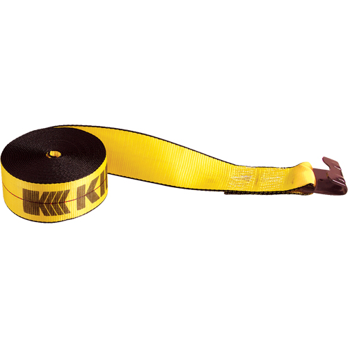 Winch Straps, Flat Hook, 3" W x 30' L, 5400 lbs. (2450 kg) Working Load Limit Auto-Cam