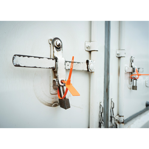 Security Seal, 7-3/4", Plastic, Truck Seal Auto-Cam