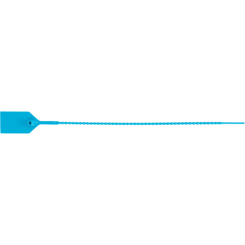 Scell&eacute; de s&eacute;curit&eacute; standard, 12", Plastique, Scell&eacute; en plastique Auto-Cam