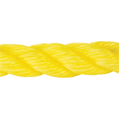 Braided Yellow Rope, Polypropylene, 300' Auto-Cam