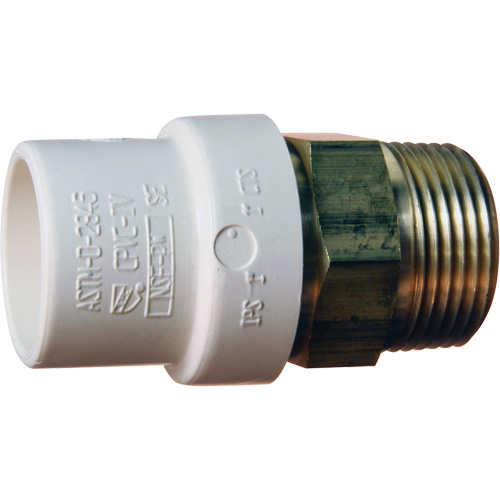 Adaptateur de tuyau filet&eacute;, Noeud x MPT, 1" dia., Laiton/PVC-C Auto-Cam
