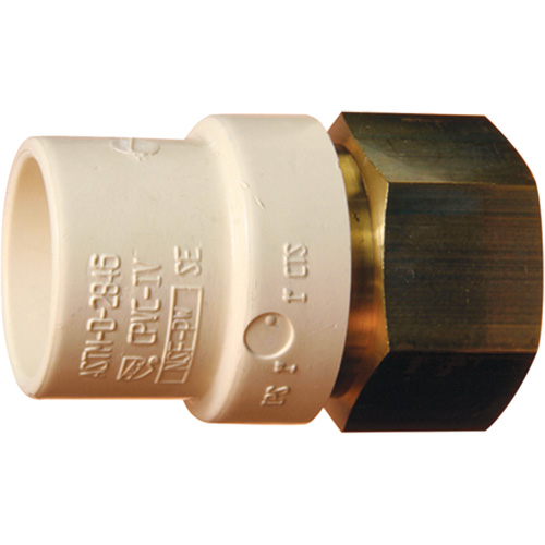 Adaptateur de tuyau filet&eacute;, Noeud x FPT, 1" dia., Laiton/PVC-C Auto-Cam