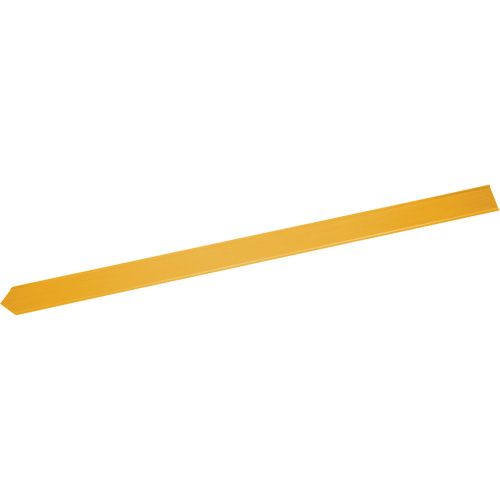 Blank Warning Stake Auto-Cam