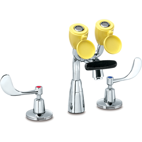 Faucet & Eyewash Station, Sink Mount Installation Auto-Cam