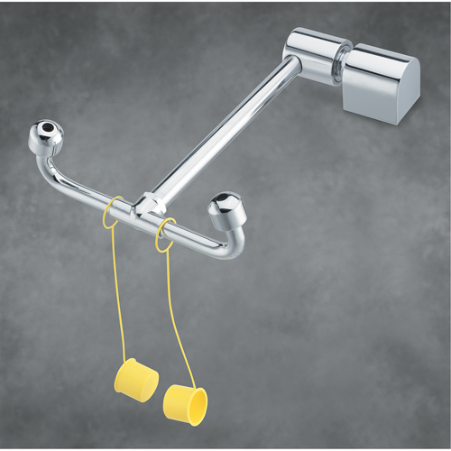 Bradley Eyewash Station, CounterMount Installation AutoCam