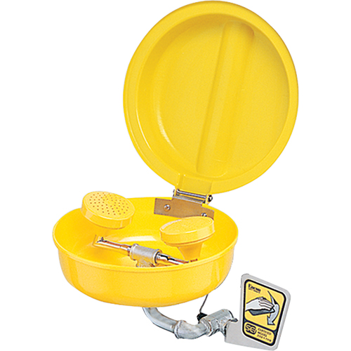 Douche oculaire/faciale avec couvercle, Installation Montage mural, Bol Plastique Auto-Cam