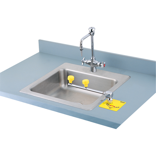 Swing-Away Eyewash Station, Counter-Mount Installation Auto-Cam