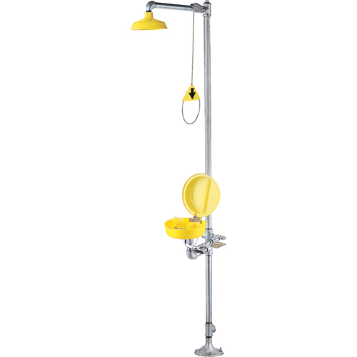 Combinaison de douche oculaire/faciale a/couvercle Auto-Cam