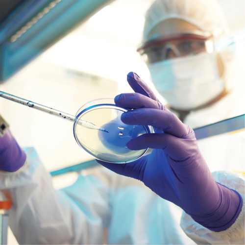 Kimtech Examination Gloves, X-Small, Nitrile, 6-mil, Powder-Free, Purple, Class 2 Auto-Cam