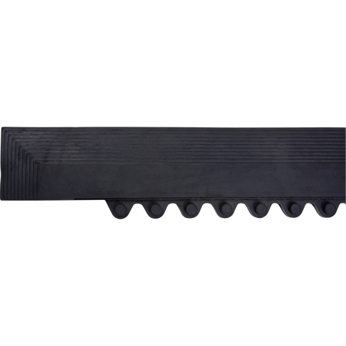 Border Ramp for Matting Auto-Cam