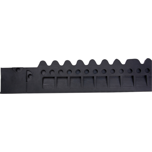 Border Ramp for Matting Auto-Cam