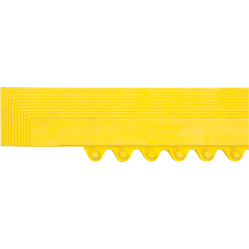 Rampe de bordure pour tapis Auto-Cam