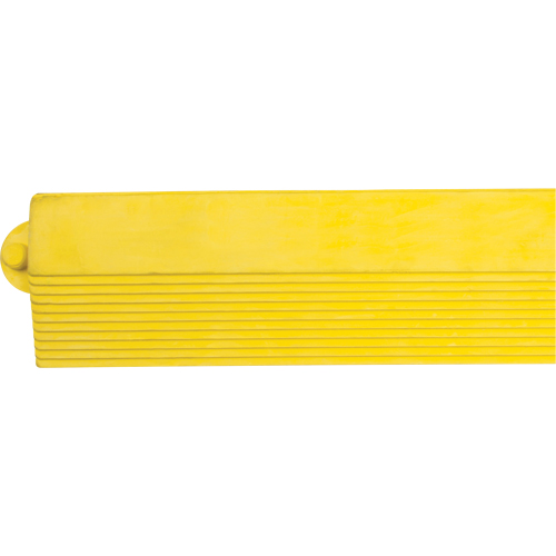 Rampe de bordure pour tapis Auto-Cam