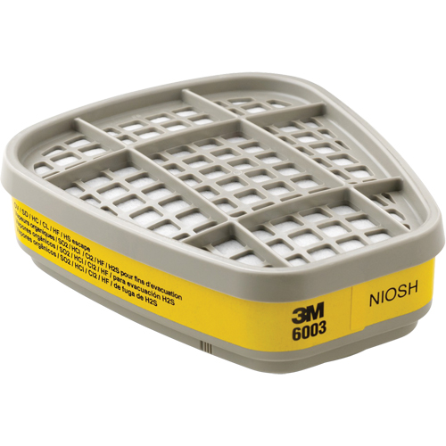 Cartouches pour respirateur s&eacute;rie 6000, Cartouche gaz/vapeur, Vapeurs organiques/Gaz acides Auto-Cam