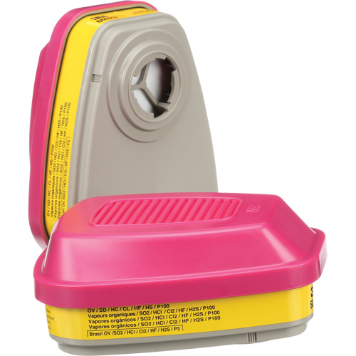 Cartouches pour respirateur s&eacute;rie 6000, Cartouche gaz/vapeur, Vapeurs organiques/Gaz acides/P100 Auto-Cam