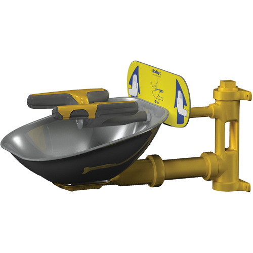 Halo Face/Eyewash Stations, Wall-Mount Installation, Stainless Steel Bowl Auto-Cam