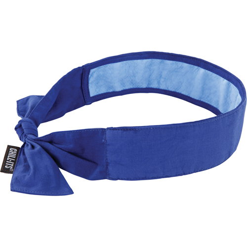 Foulards de refroidissement Chill-Its 6700CT, Bleu Auto-Cam