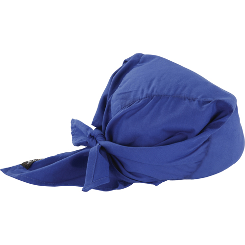 Foulards de refroidissement en triangle Chill-Its 6710CT, Bleu Auto-Cam
