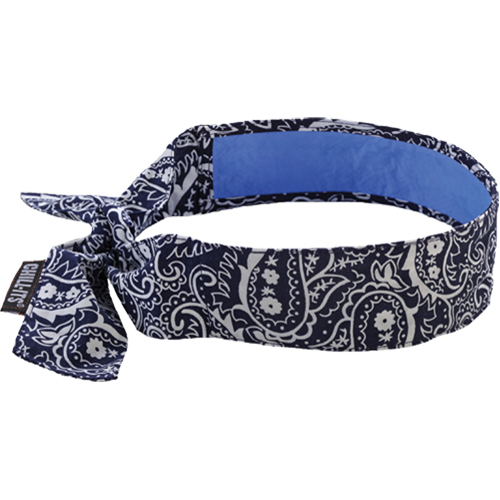 Foulards 6700CT de refroidissement en tissu de serviette Chill-Its, Bleu Auto-Cam