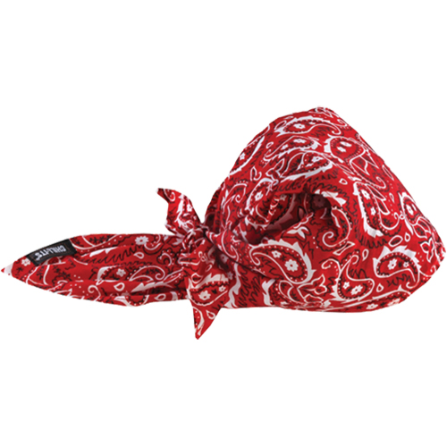 Bandeaux en triangle 6710CT de refroidissement en tissu de serviette Chill-Its, Rouge Auto-Cam