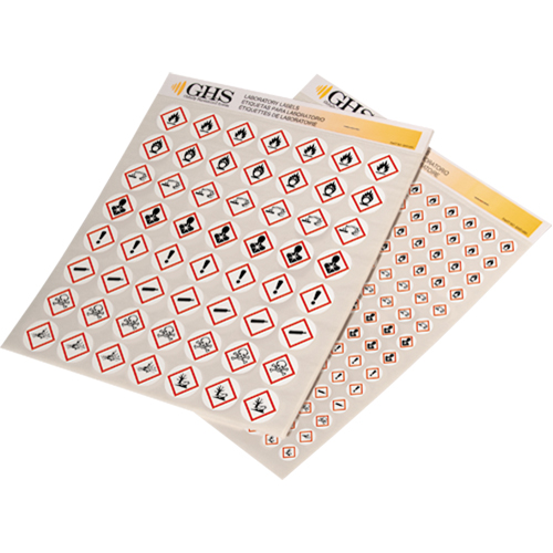 GHS Hazard Pictogram Label Variety Packs, Vinyl, Sheet, 1" L x 1" W Auto-Cam