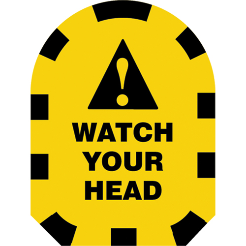 M.A.G.s Mirror Awareness Guards Auto-Cam