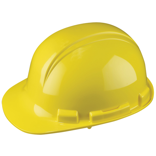 Casque de s&eacute;curit&eacute; Whistler de North, R&eacute;pond aux normes CSA type 1, Suspension &agrave; douille, Non ventil&eacute; Auto-Cam