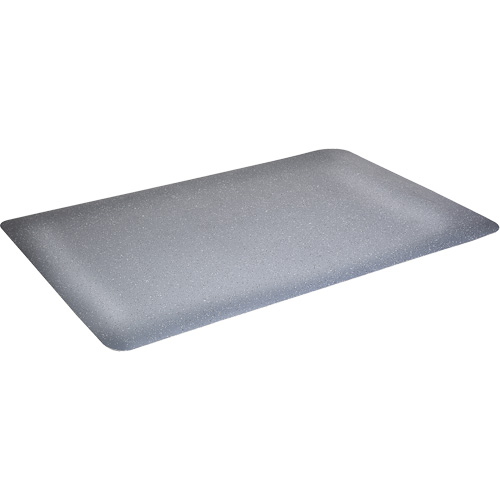 Tapis antimicrobiens WD Foodmaster, Lisse, 3' x 4' x 9/16", Gris, Nitrile/Caoutchouc Auto-Cam