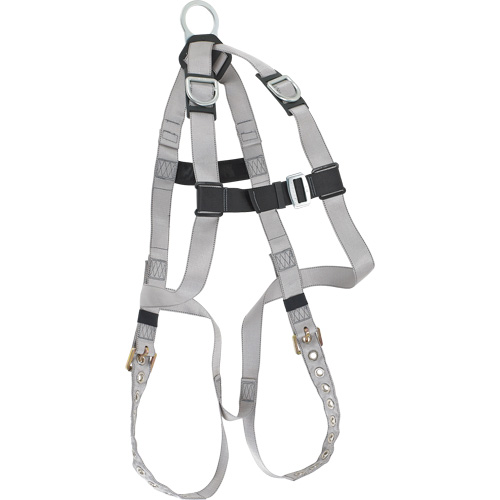 Dynamic B-Compliant Economy Harness, CSA Certified, Class AE, 310 lbs. Cap. Auto-Cam