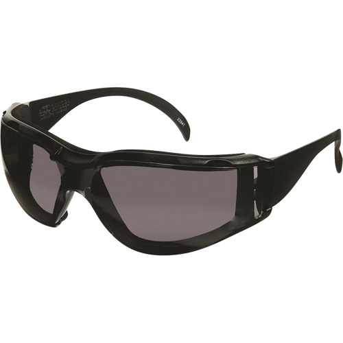 Lunettes de s&eacute;curit&eacute; CeeTec DX, Lentille Gris, Antibu&eacute;e/Anti-&eacute;gratignures, R&eacute;pond ou surpasse la norme CSA Z94.3 Auto-Cam