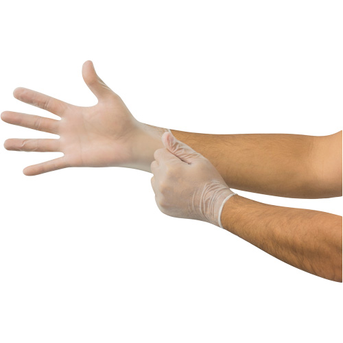MicroFlex&reg; Disposable Gloves, Medium, Vinyl, 2.8-mil, Powder-Free, Clear Auto-Cam