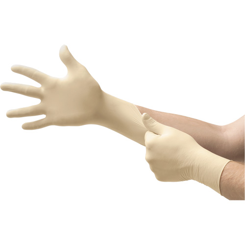 MICROFLEX&reg; Ultra One&reg; Examination Gloves, 6.5/7/Small, Latex, 9.8-mil, Powder-Free, Natural, Class 2 Auto-Cam