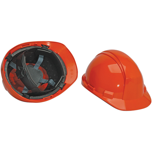 Casque de s&eacute;curit&eacute; North Matterhorn, R&eacute;pond aux normes CSA type 2, Suspension Rochet, Non ventil&eacute; Auto-Cam