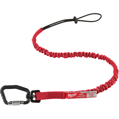 Locking Tool Lanyard, Bungee, Carabiner/Loop Auto-Cam